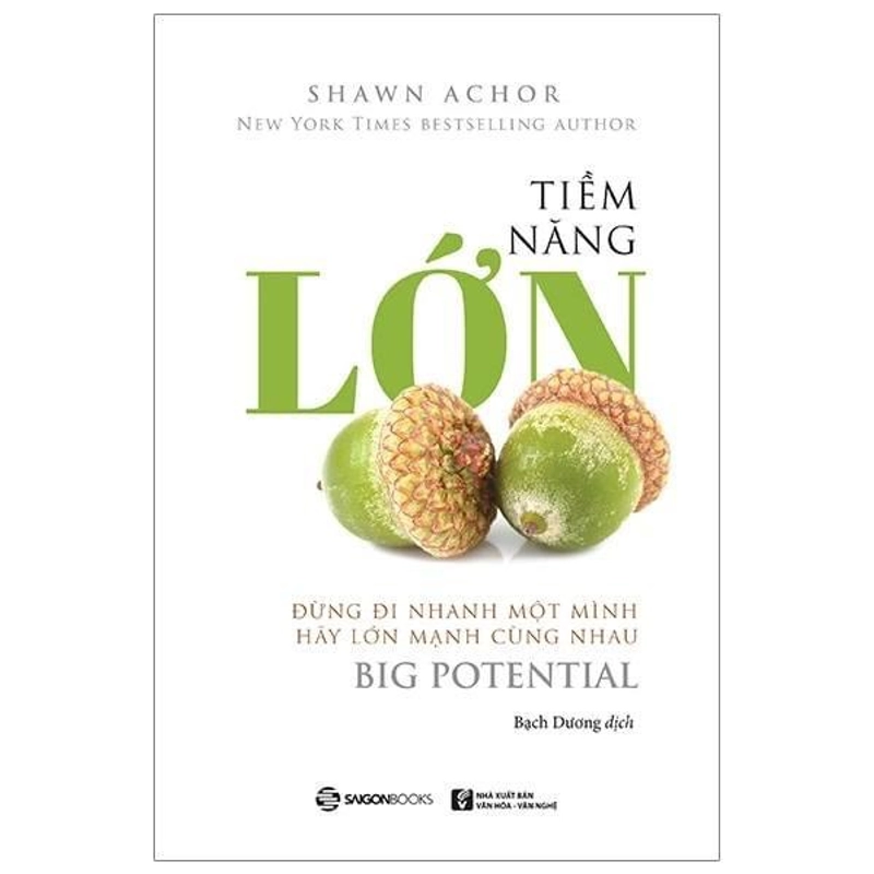 Tiềm Năng Lớn - Shawn Achor 277622