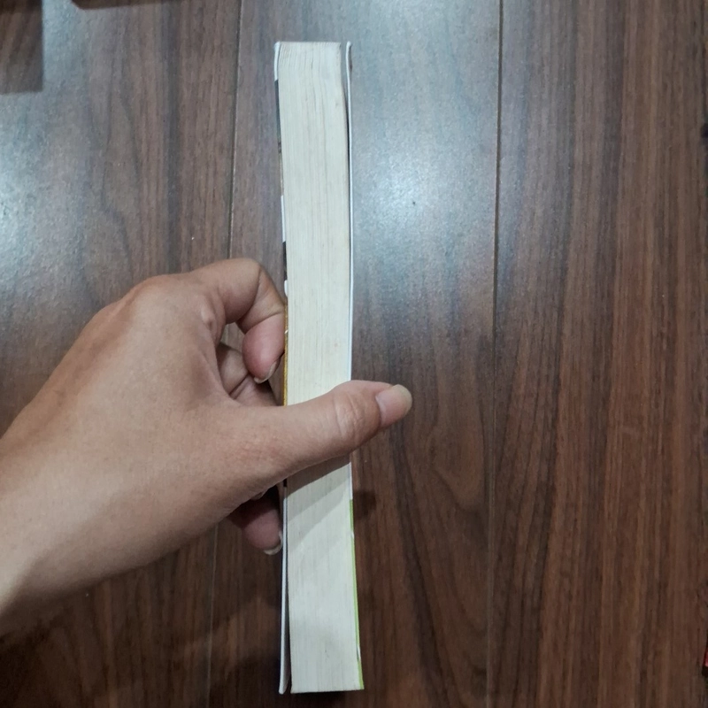 Nếu đời anh vắng em 504482
