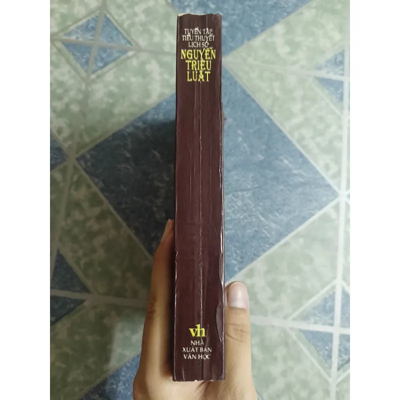 Tuyển tập tiểu thuyết lịch sử Nguyễn Triệu Luật 689430