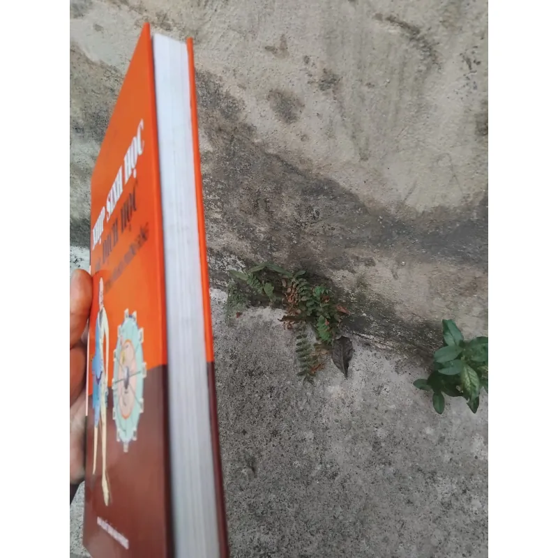 Nhịp sinh học với Dịch học trong văn hóa phương Đông  1022856