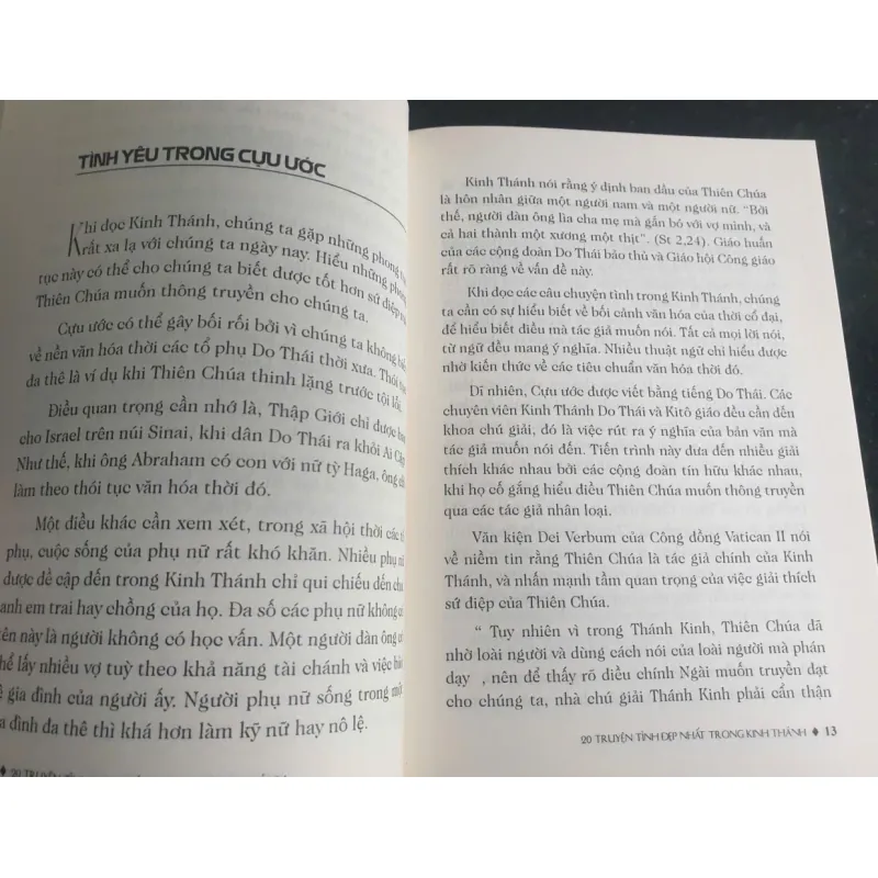 20 Truyện Tình Đẹp Nhất Trong Kinh Thánh - Allan F. Wright mới 90% 695804