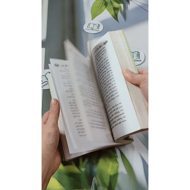 Có Duyên Nhất Định Sẽ Có Phận - Tào Đình 744694