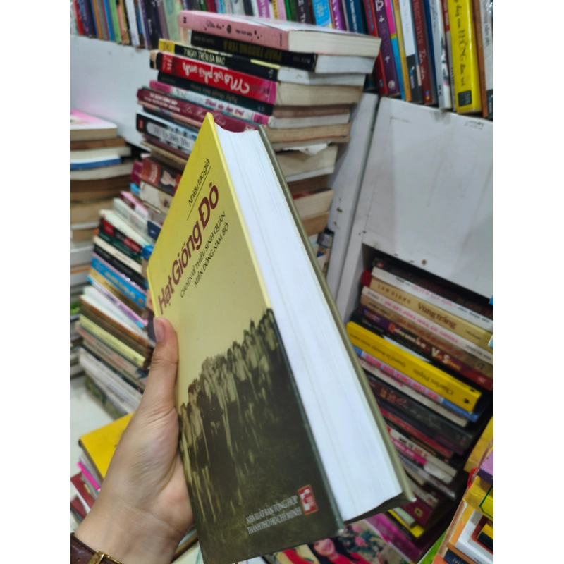 Hạt giống đỏ 🌱 505293