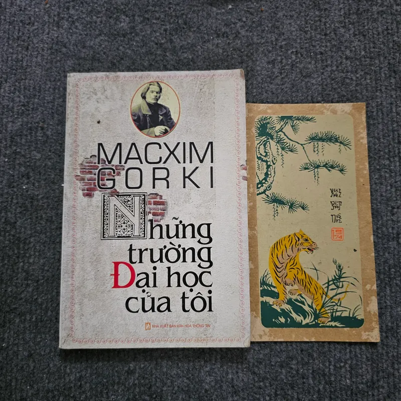 Những trường đại học của tôi - Maxim Gorki 734615