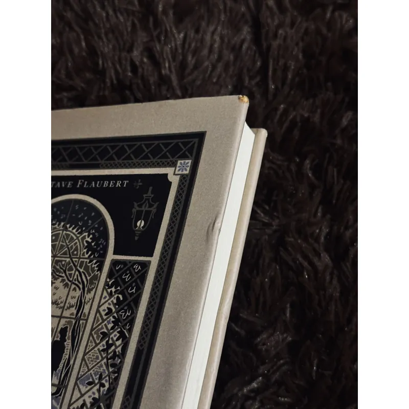 Bà Bovary (bìa cứng) 717559