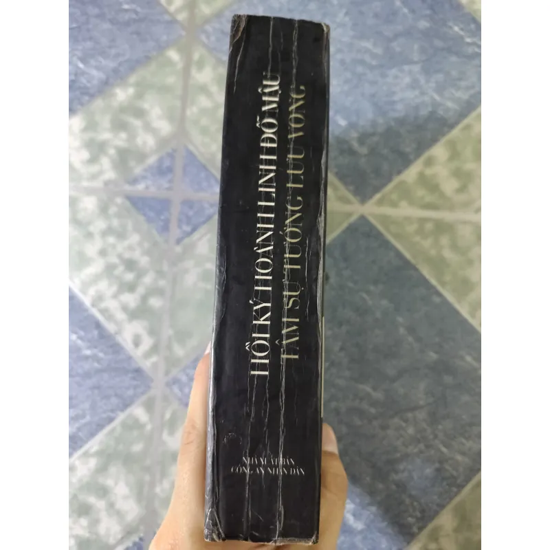 Hồi ký Hoành Linh Đỗ Mậu - tâm sự tướng lưu vong 756205