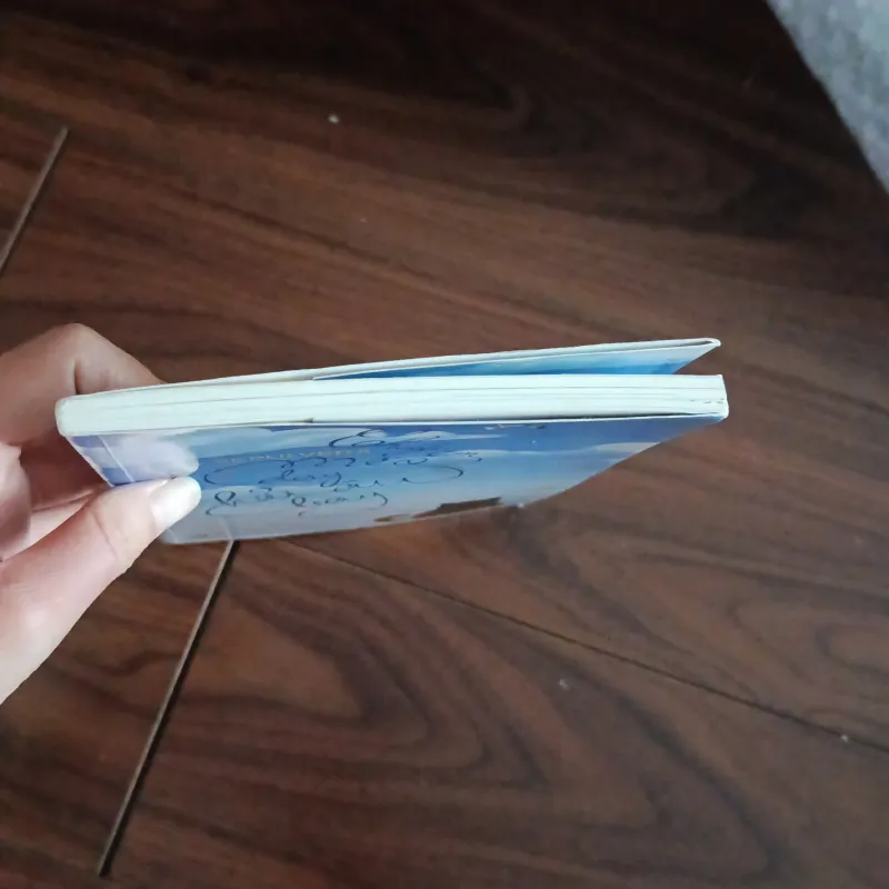 Chuyện con mèo dạy hải âu bay 761869