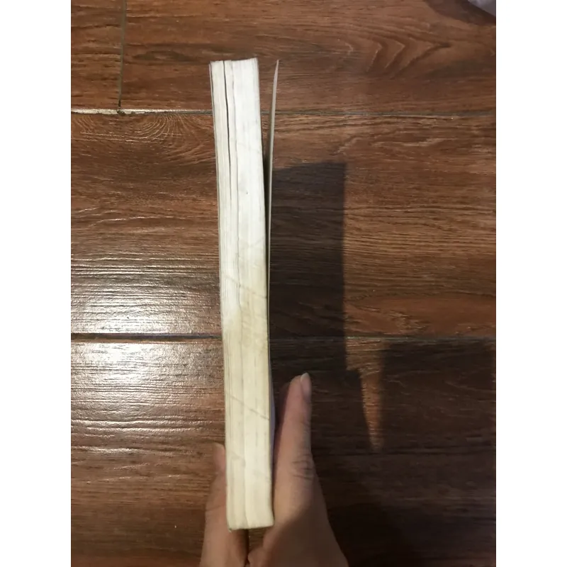 Lịch sử Việt Nam Từ khởi thủy đến thế kỷ X (6) 966628