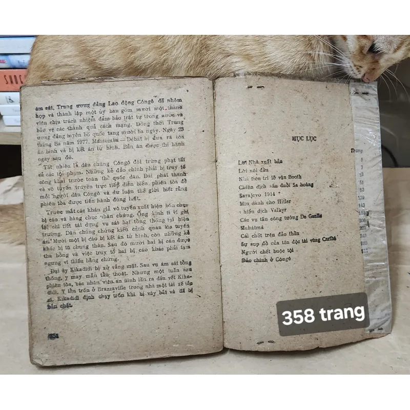 V. P  Borovicka NHỮNG VỤ ÁM SÁT THẾ KỶ 702961