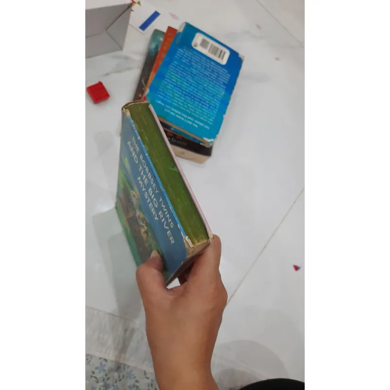 The bobbsey twins and the big rivers mystery 930936