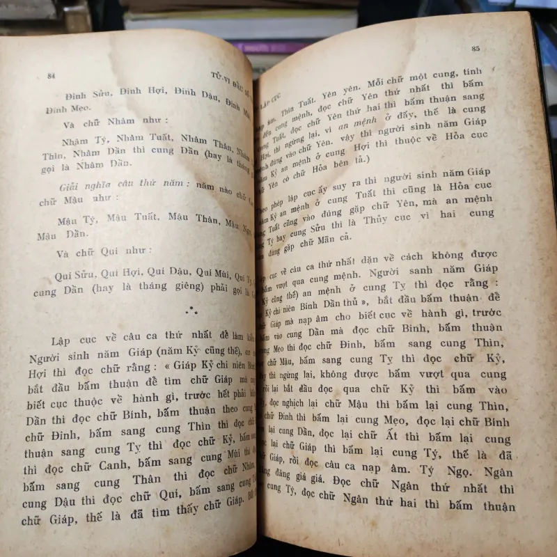 Tử Vi Đẩu Số Thực Hành - Lương Qưới Nhơn 1020034
