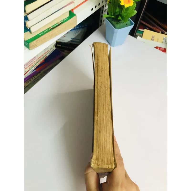 2. 📘 ANH - NGỮ ĐỆ LỤC 2 ✍️ Tác giả: Nguyễn Đình Hòa 604245