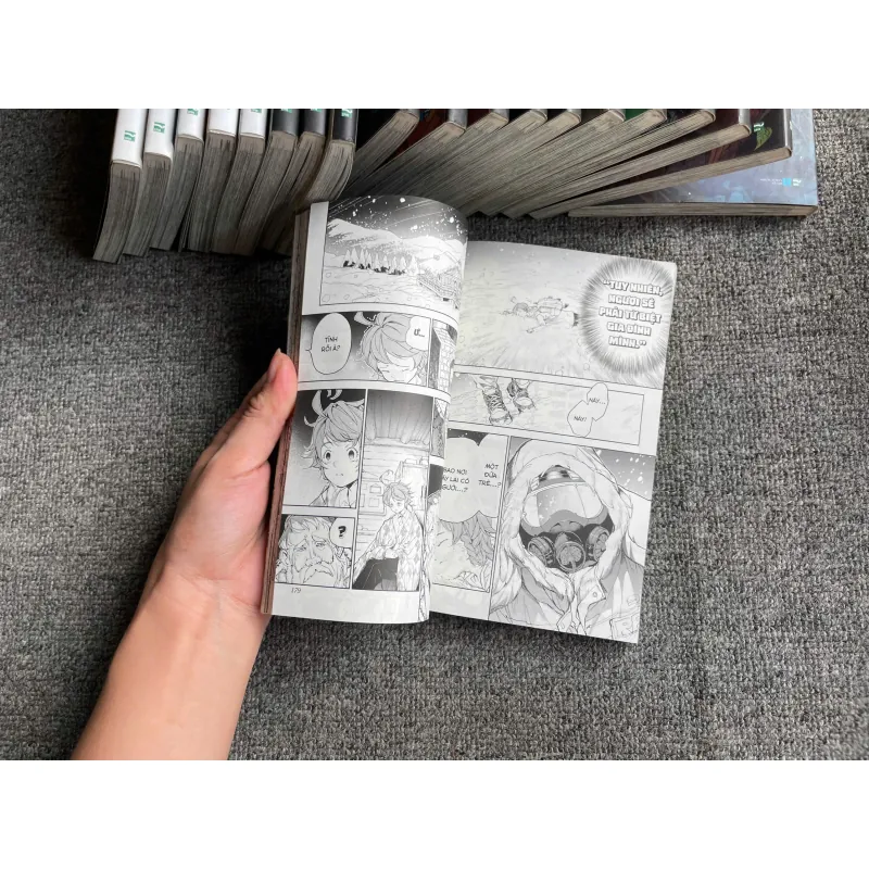 Truyện Tranh - Miền Đất Hứa - Trọn bộ 20 Tập 763724