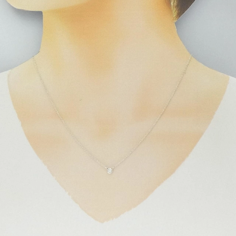 Dây chuyền Tiffany By The Yard - Hàng hiệu Authentic 843262