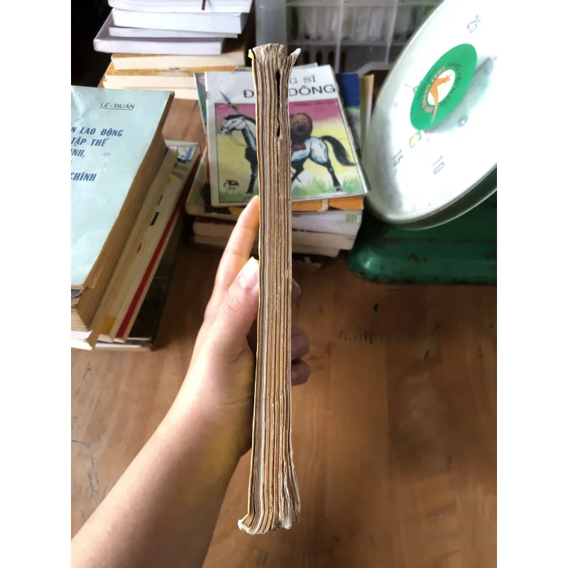 Thức ăn uống trị bệnh từ xưa đến nay 973855