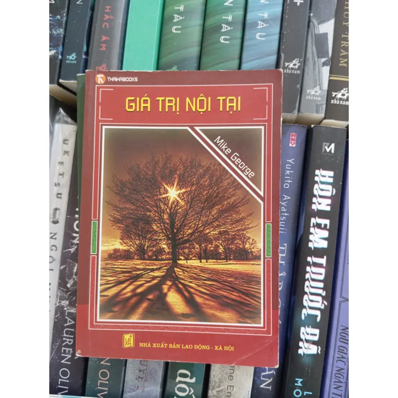 Giá trị nội tại _ An nhiên 993306