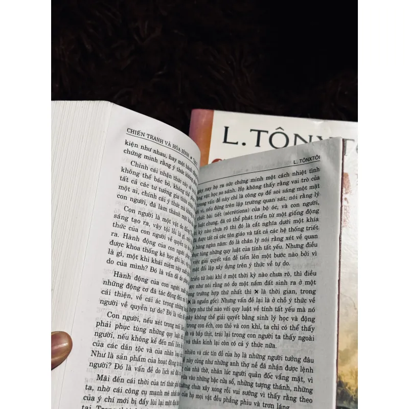 Chiến tranh và hoà bình (trọn bộ 2 tập) 1010522