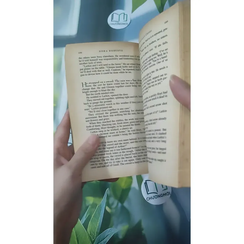 Morrigan's Cross - Nora Roberts 1027229