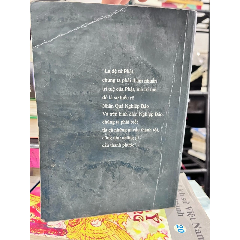 Lịch Sử Việt Nam - Những trang đoạn trường - Nhiều tác giả 934402