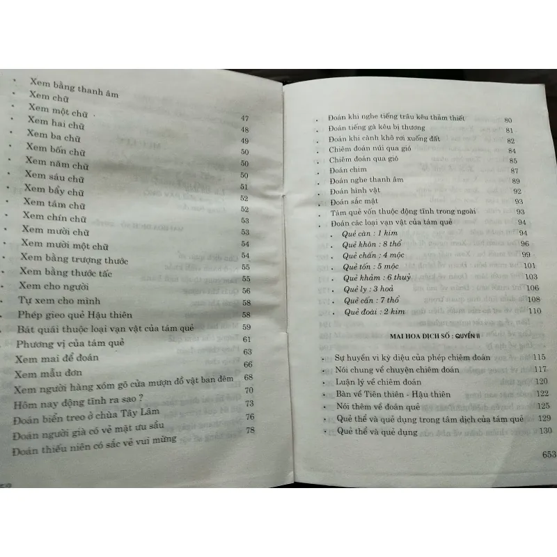 Mai hoa dịch số 996600