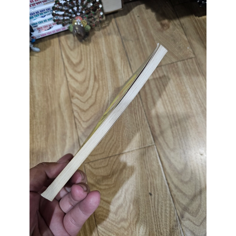 Tuổi trẻ với tư duy triệu phú 408218