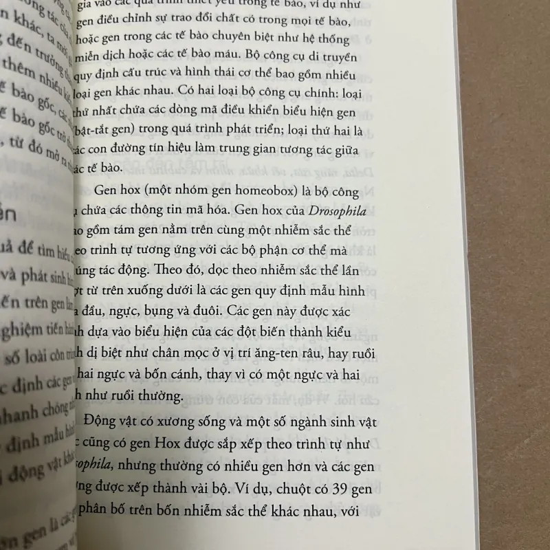 Những câu hỏi lớn tiến hoá 1025435