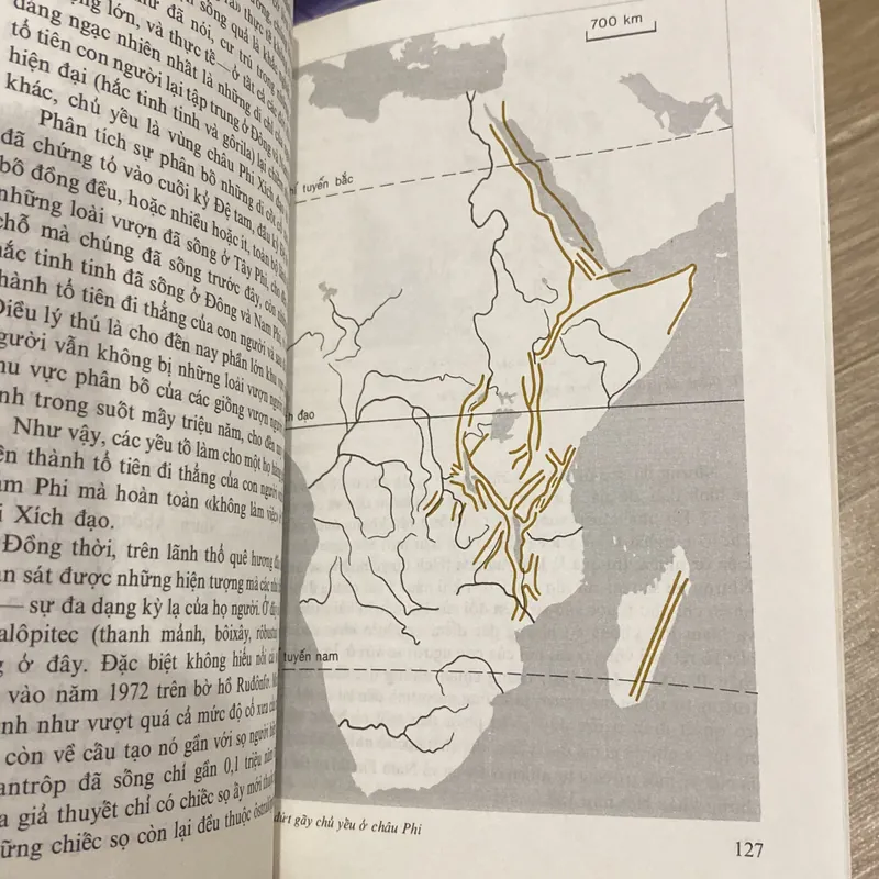 NGUỒN GỐC LOÀI NGƯỜI, in tại Liên Xô 1986 713649