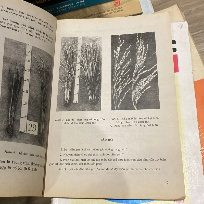 SINH HỌC 12 (XB 2002) 994050