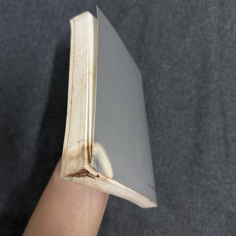 Con mắt thơ - Đỗ Lai Thúy 754372