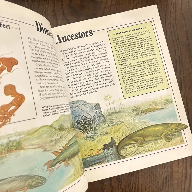 ✨𝑻𝒉𝒆 𝑺𝒖𝒑𝒆𝒓𝒃𝒐𝒐𝒌 𝒐𝒇 𝑫𝒊𝒏𝒐𝒔𝒂𝒖𝒓𝒔✨ 715100