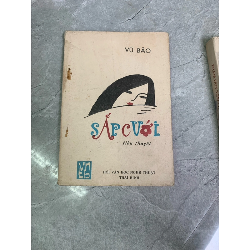 Sắp cưới (tiểu thuyết) - Vũ Bảo 303456