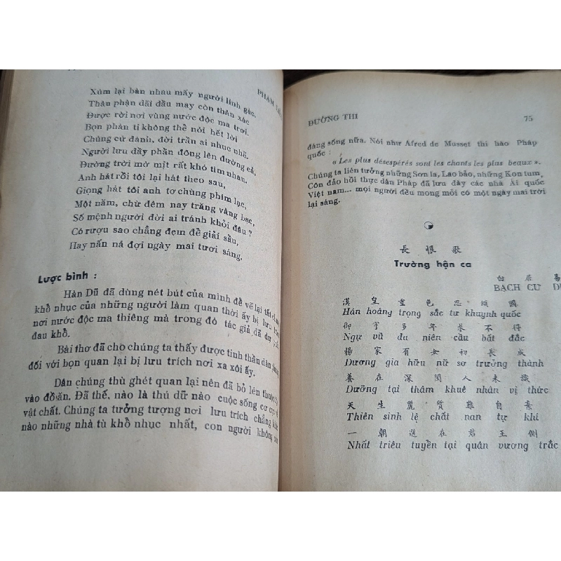 Đường Thi - Trường Xuân Phạm liễu 128115