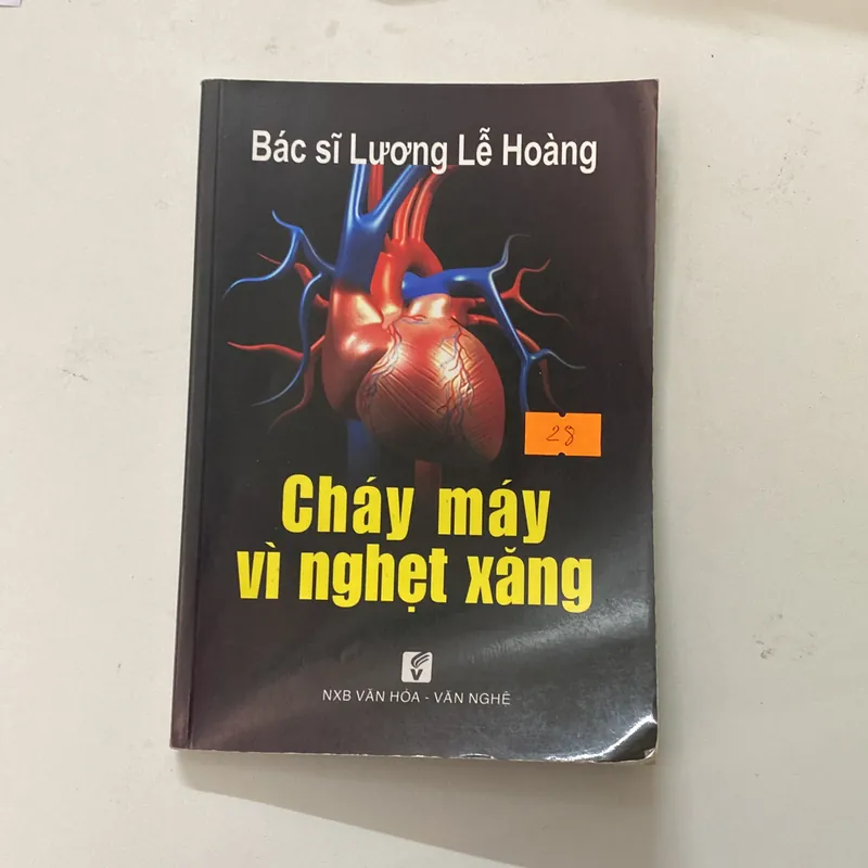 Cháy máy vì nghẹt xăng-Bác sĩ Lương Lễ Hoàng 696118