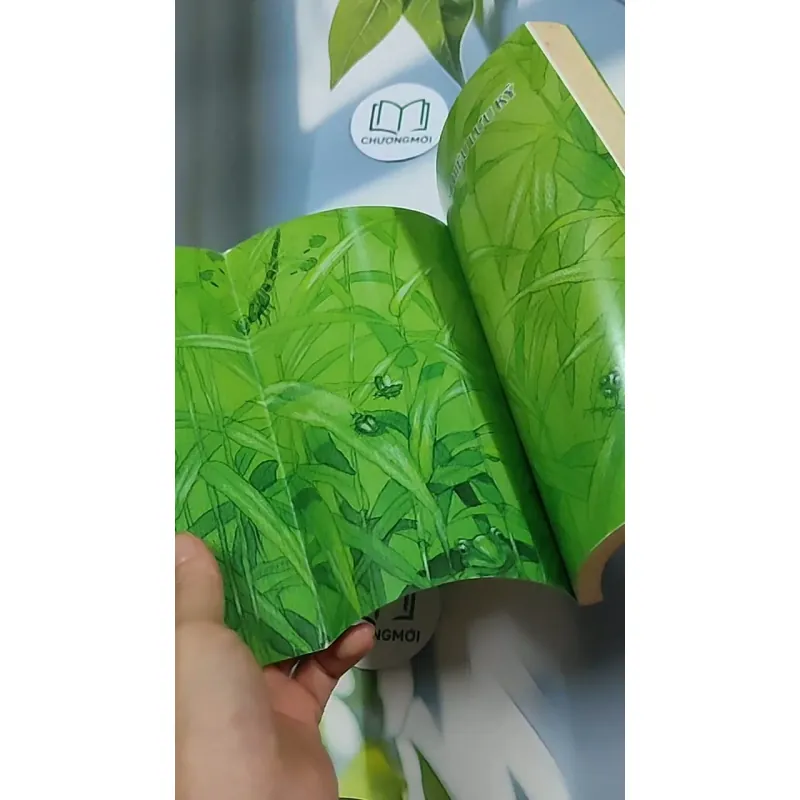 Dế Mèn phiêu lưu ký 698592