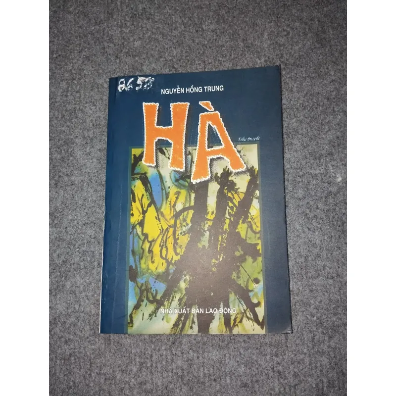 HÀ - NGUYỄN HỒNG TRUNG 588809