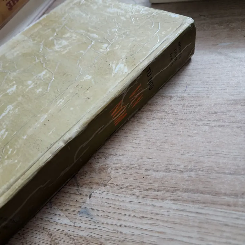 Từ điển văn Nôm | Nguyễn thạch giang | 1993 724192