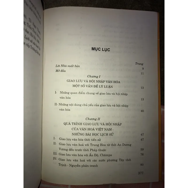 Văn hoá Việt Nam trong bối cảnh hội nhập kinh tế quốc tế  712148