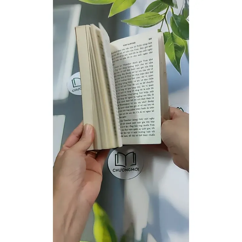 Những Cuộc Phiêu Lưu Của Tom Sawyer 604591