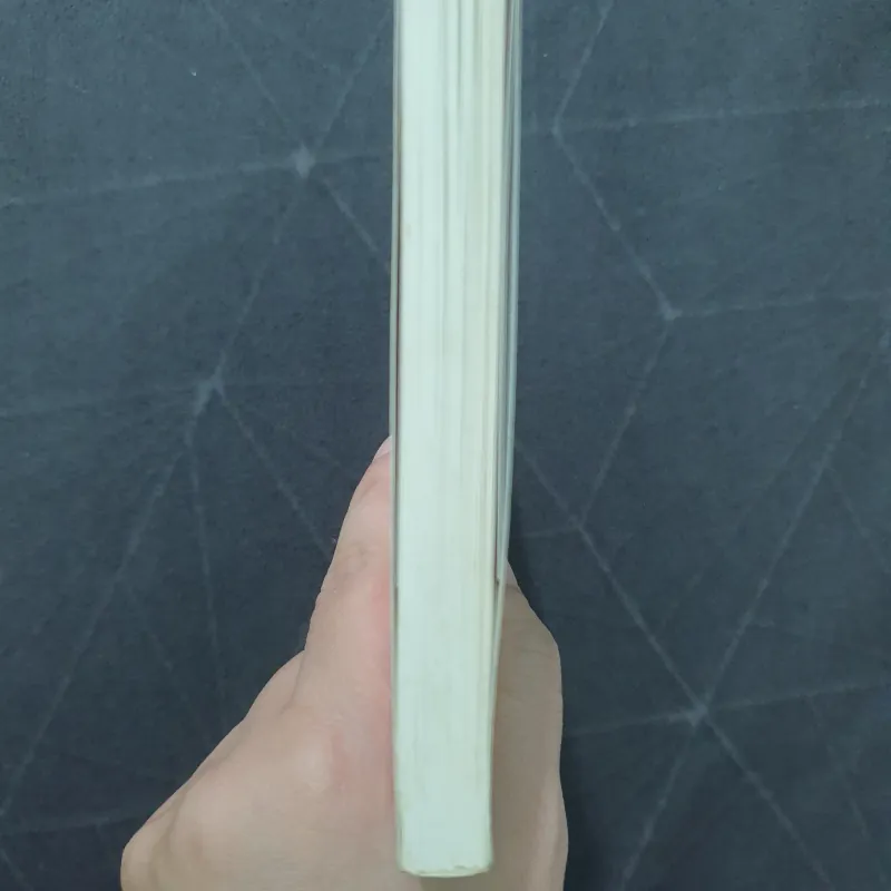 "Tình yêu kéo dài 3 năm" (like new) - Frederic Beigbeder 751979