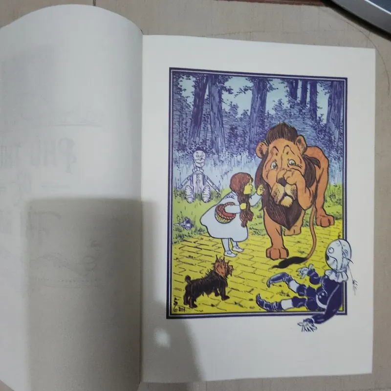 Sách Dorothy và xứ Oz diệu kỳ của Frank Baum mới 95% 527340
