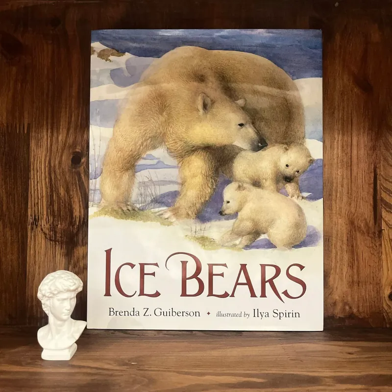 ✨𝑰𝒄𝒆 𝑩𝒆𝒂𝒓𝒔✨ 749617