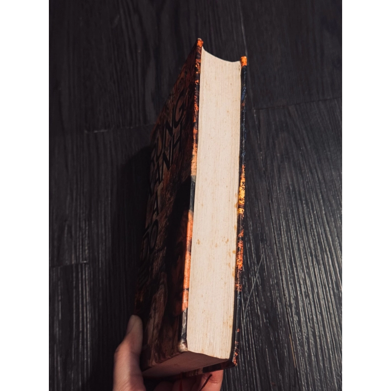 Rừng xanh lá đỏ 531085