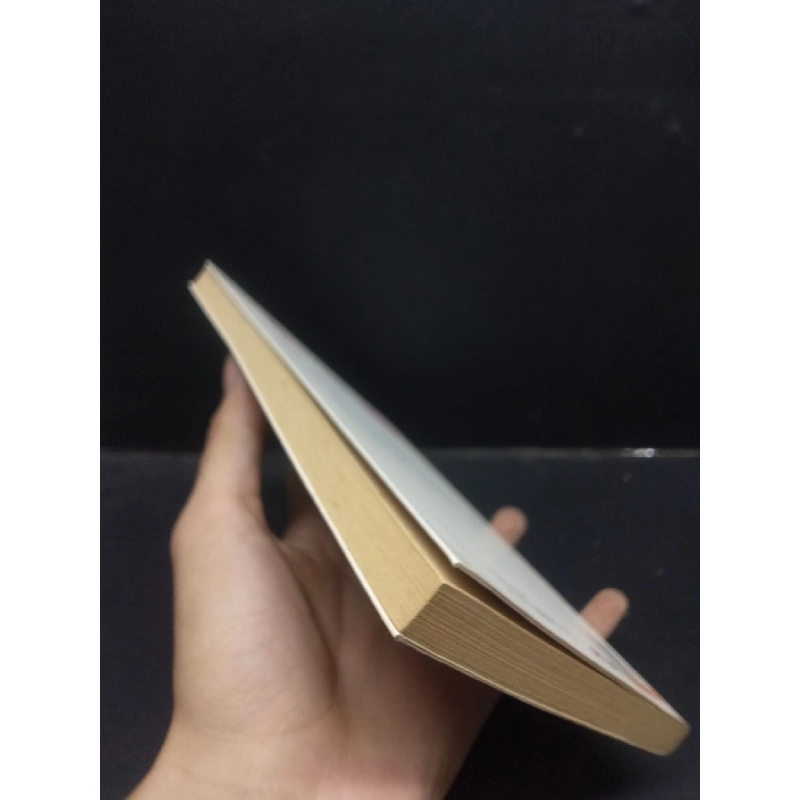 Thời Gian Để Yêu Hamlet Trương mới 70% (ố vàng, bẩn bìa) 2014 HCM0605 văn học 914253