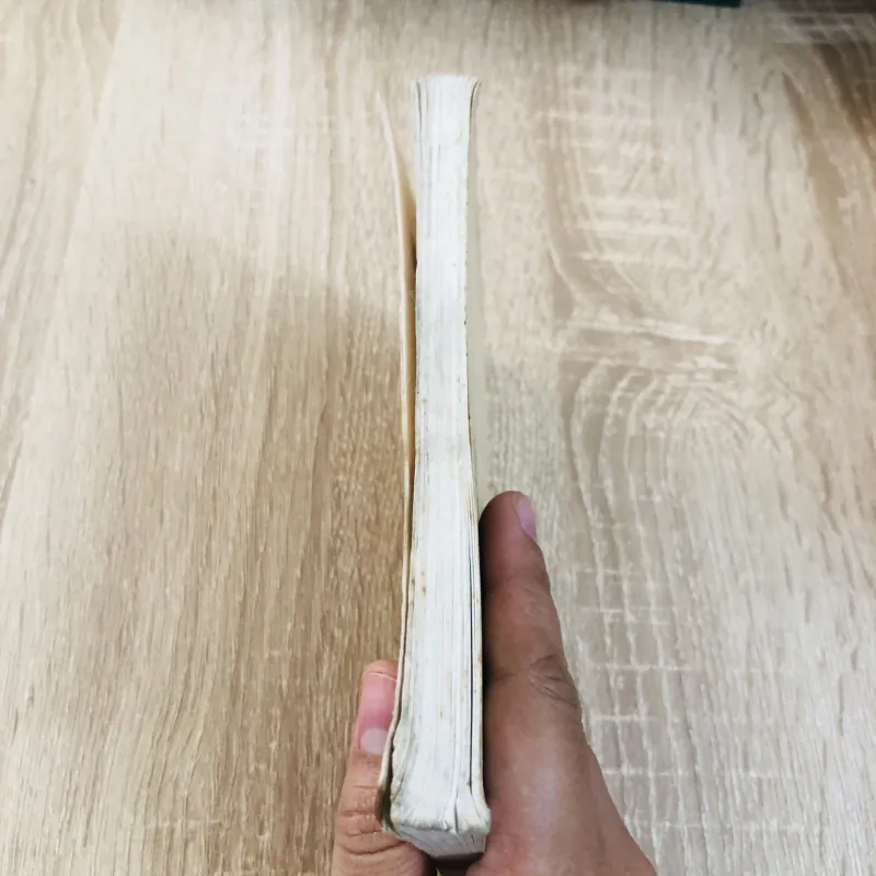 NHỊP ĐIỆU CUỘC SỐNG  929079