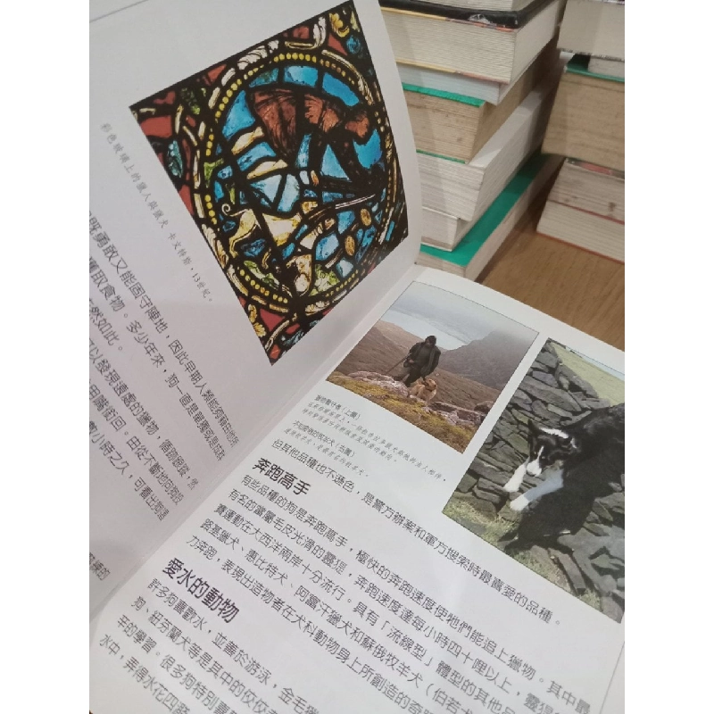 Sách tiếng Trung 19 730802