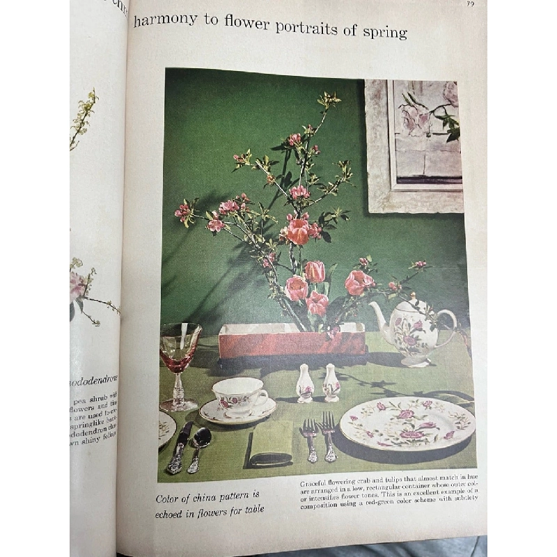 Flower Arranging 728405