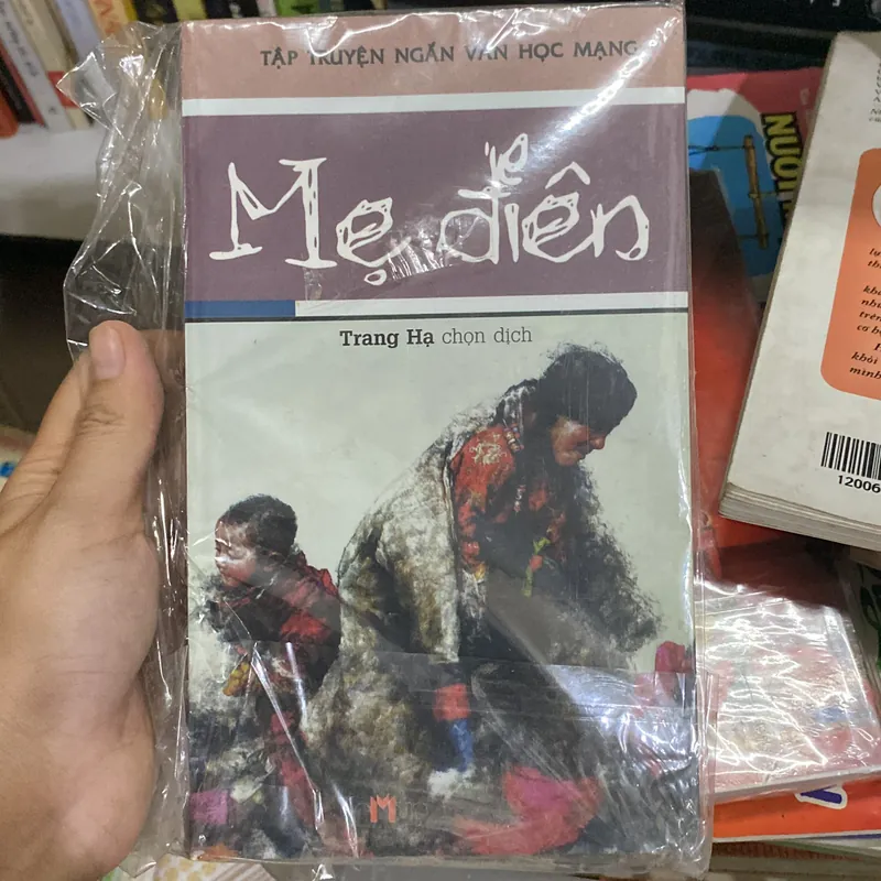 Mẹ Ðiên Trang Hạ 567842