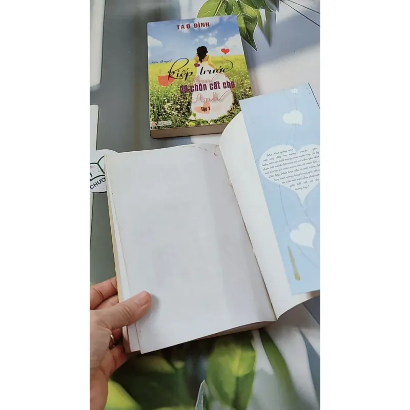 Bộ Kiếp Trước Em Đã Chôn Cất Cho Anh - Tào Đình 744693