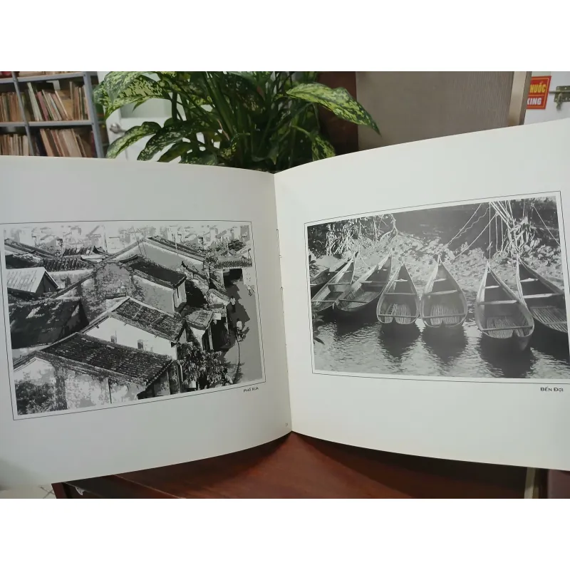 ẢNH ĐEN & TRẮNG 559316