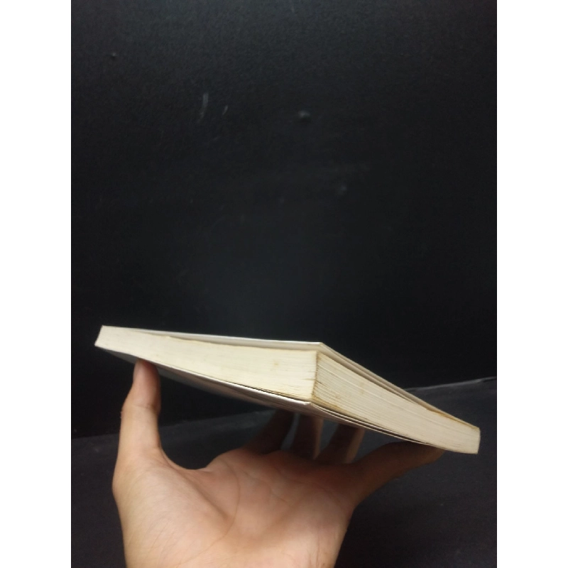 Chênh vênh 25, Nguyễn Ngọc Thạch, năm 2017, mới 80% (ố nhẹ) HCM2602 văn học 913365